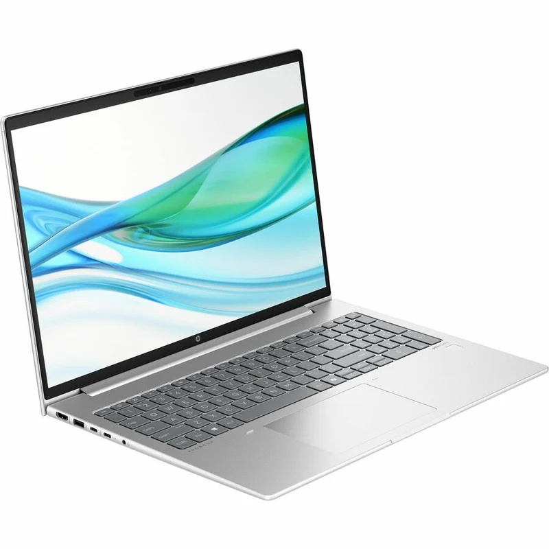 Ordinateur portable HP ProBook 465 G11 16" - WUXGA - AMD Ryzen 5 7535U - 16 Go - SSD 512 Go - Clavier anglais, français - Pike Silver A92P2UT#ABL