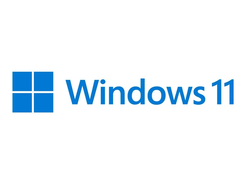 MS 1xWin 11 Home 64Bit French 1pk DSP OEI DVD (FR)