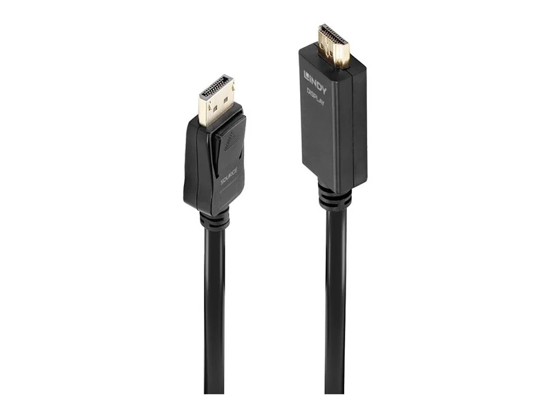 LINDY Câble DisplayPort vers HDMI 4K30 DP:passif 1m