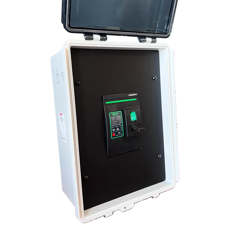 BENY DC Molded Case Circuit Breaker | 2 Pole-250A